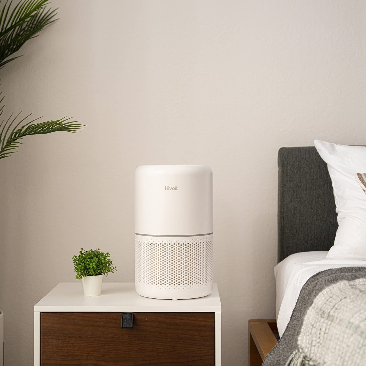 Air Purifier for Home Allergies Pets Hair in Bedroom