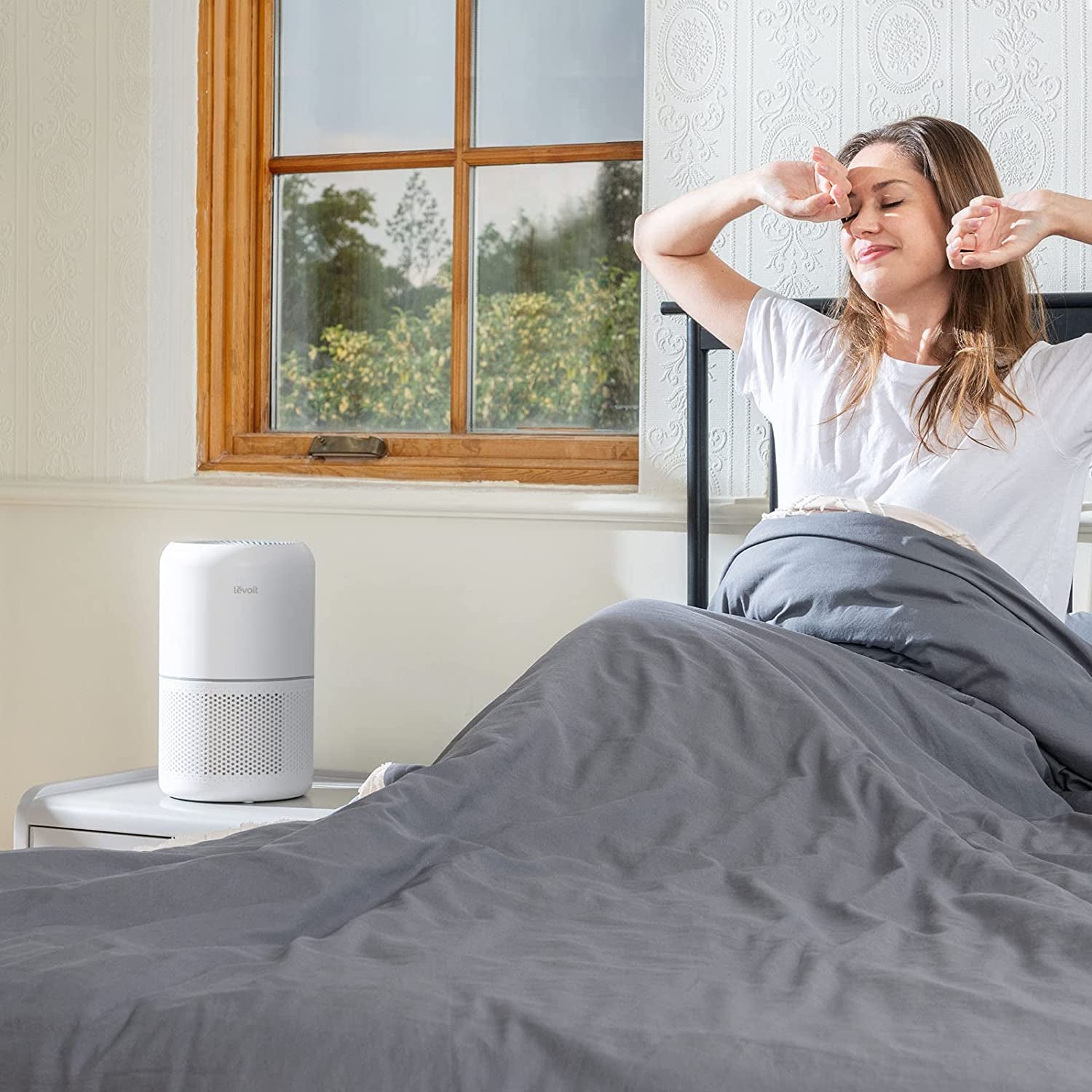 Air Purifier for Home Allergies Pets Hair in Bedroom