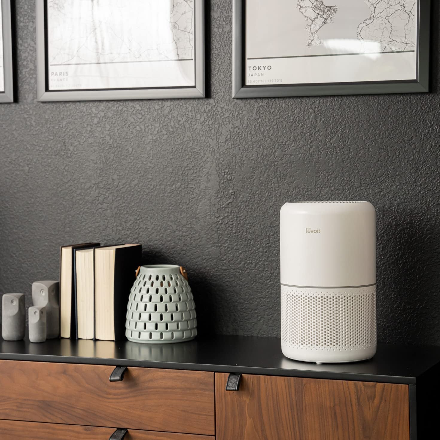 Air Purifier for Home Allergies Pets Hair in Bedroom