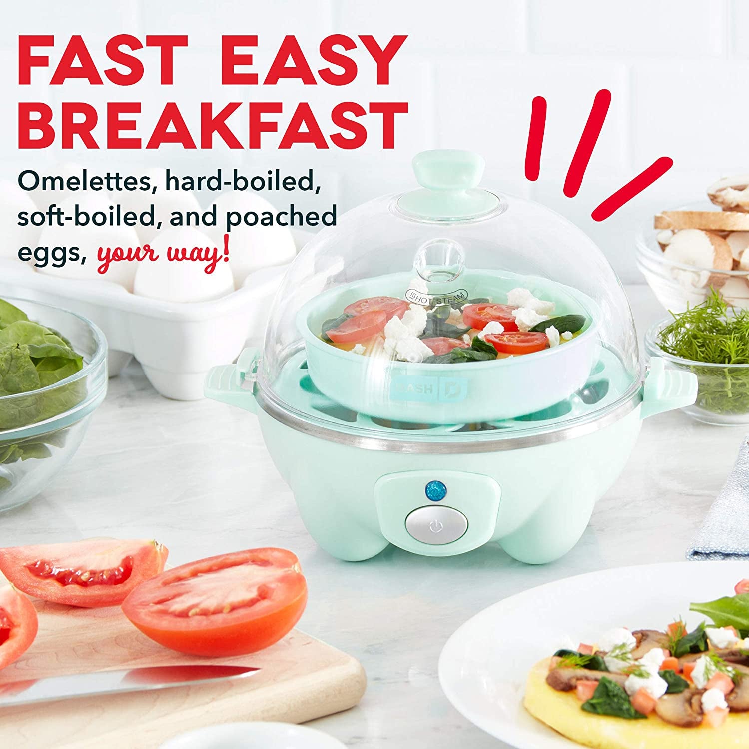 6 Egg Capacity Electric Egg Cooker